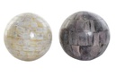 DECORATION BALL BONE NACRE 12X12X12 2 MOD.        